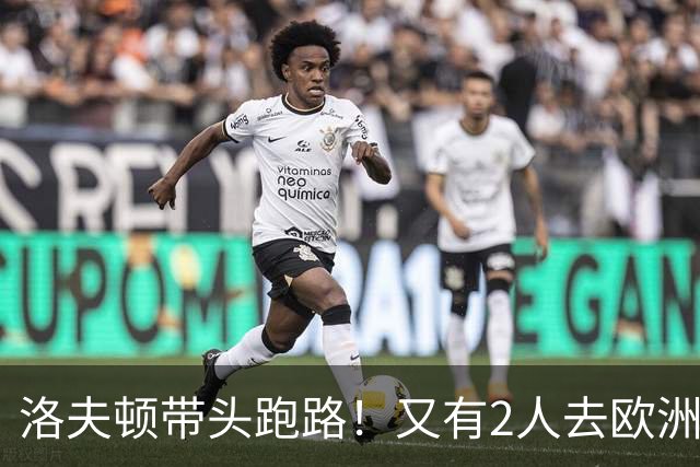 洛夫顿带头跑路！又有2人去欧洲，CBA外援扎堆逃离，鲁媒给出说法